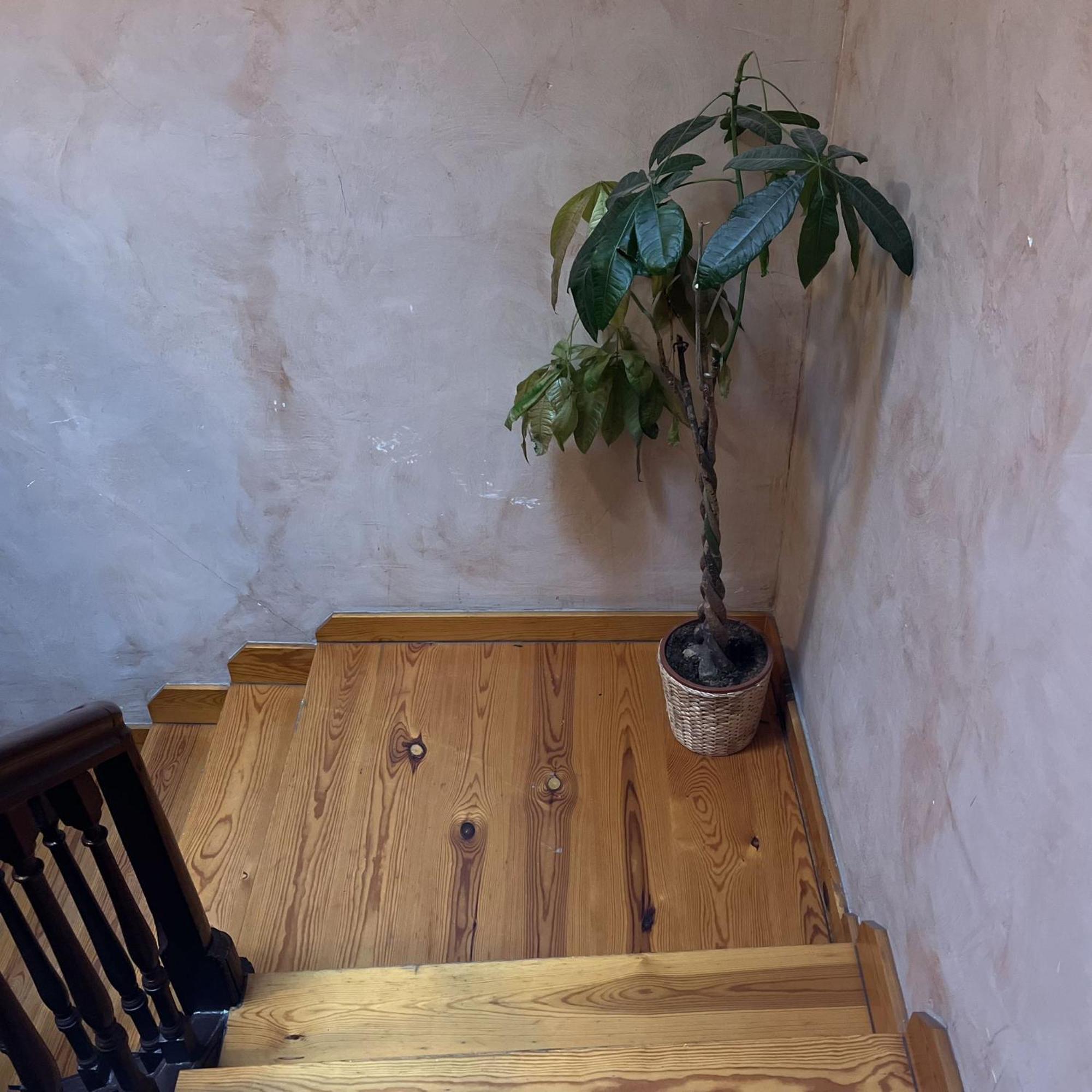 Calera 2 Appartement Burgo Buitenkant foto